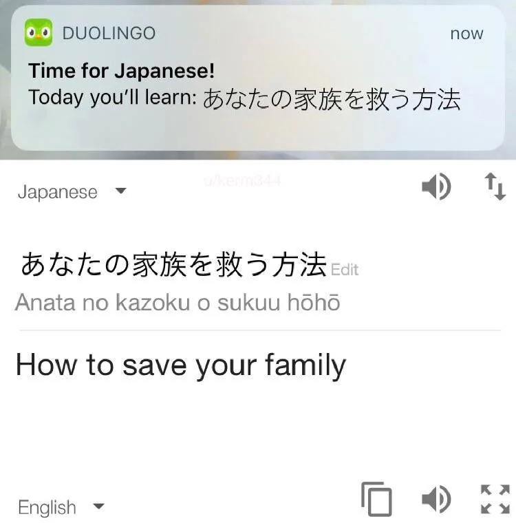 duolingo how to save your family meme